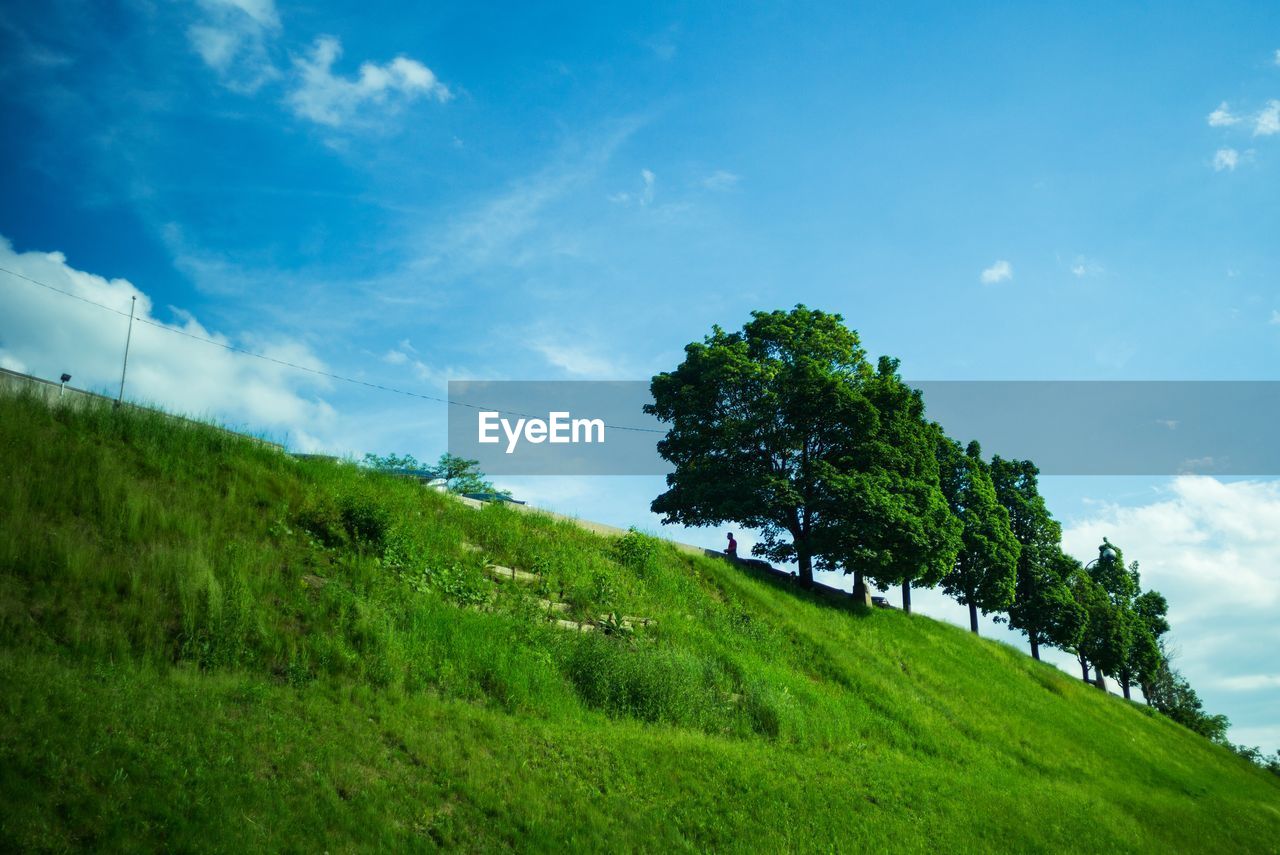 SCENIC VIEW OF GREEN FIELD AGAINST SKY