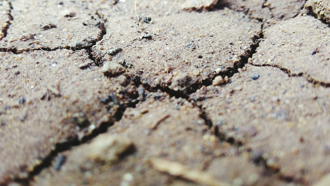 Close-up of cracked field