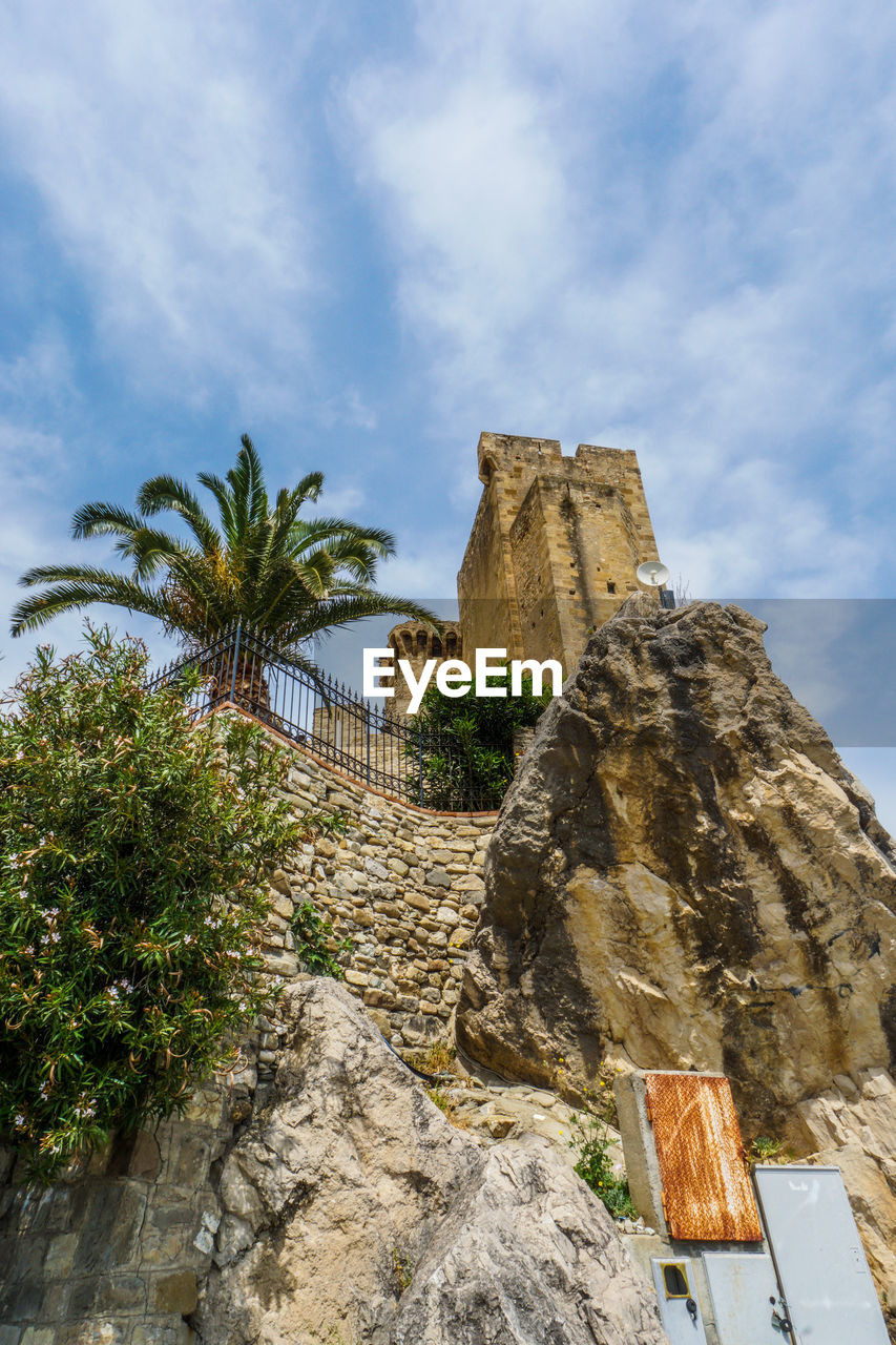 LOW ANGLE VIEW OF PALM TREES AND ROCKS