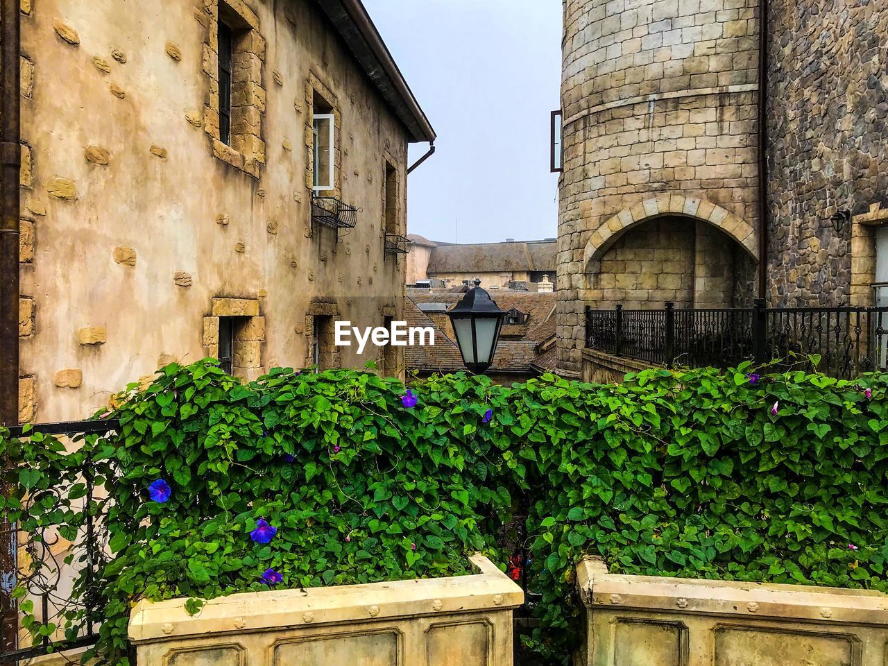 LOW ANGLE VIEW OF POTTED PLANTS BY BUILDING