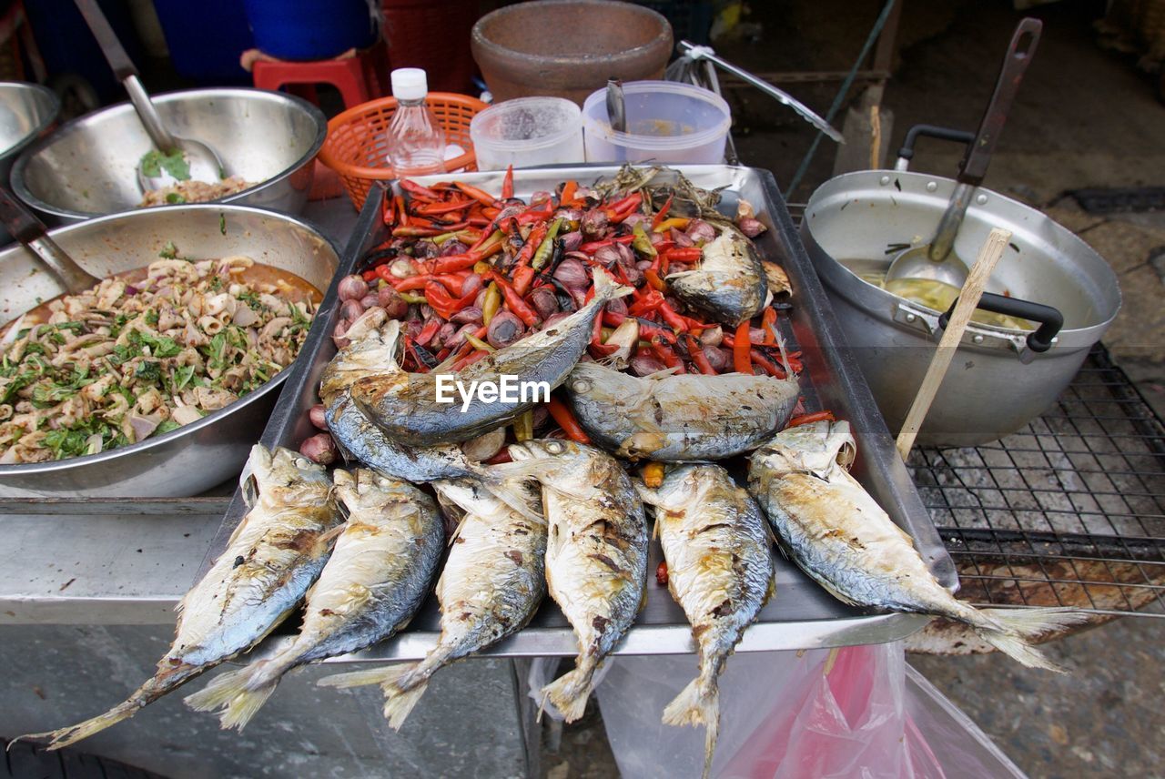 HIGH ANGLE VIEW OF FISH IN CONTAINER