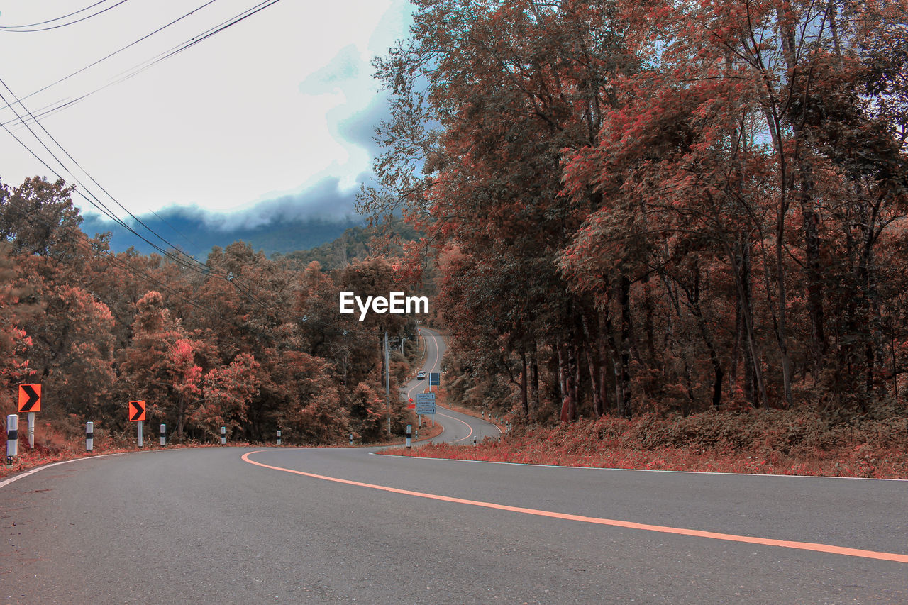 Road amidst trees against sky during autumn