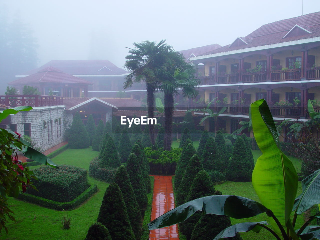 TREES AND HOUSES IN GARDEN