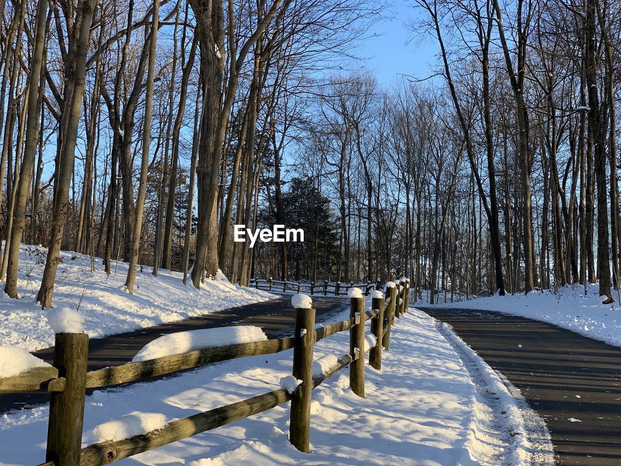 Bare trees on snow covered field against sky