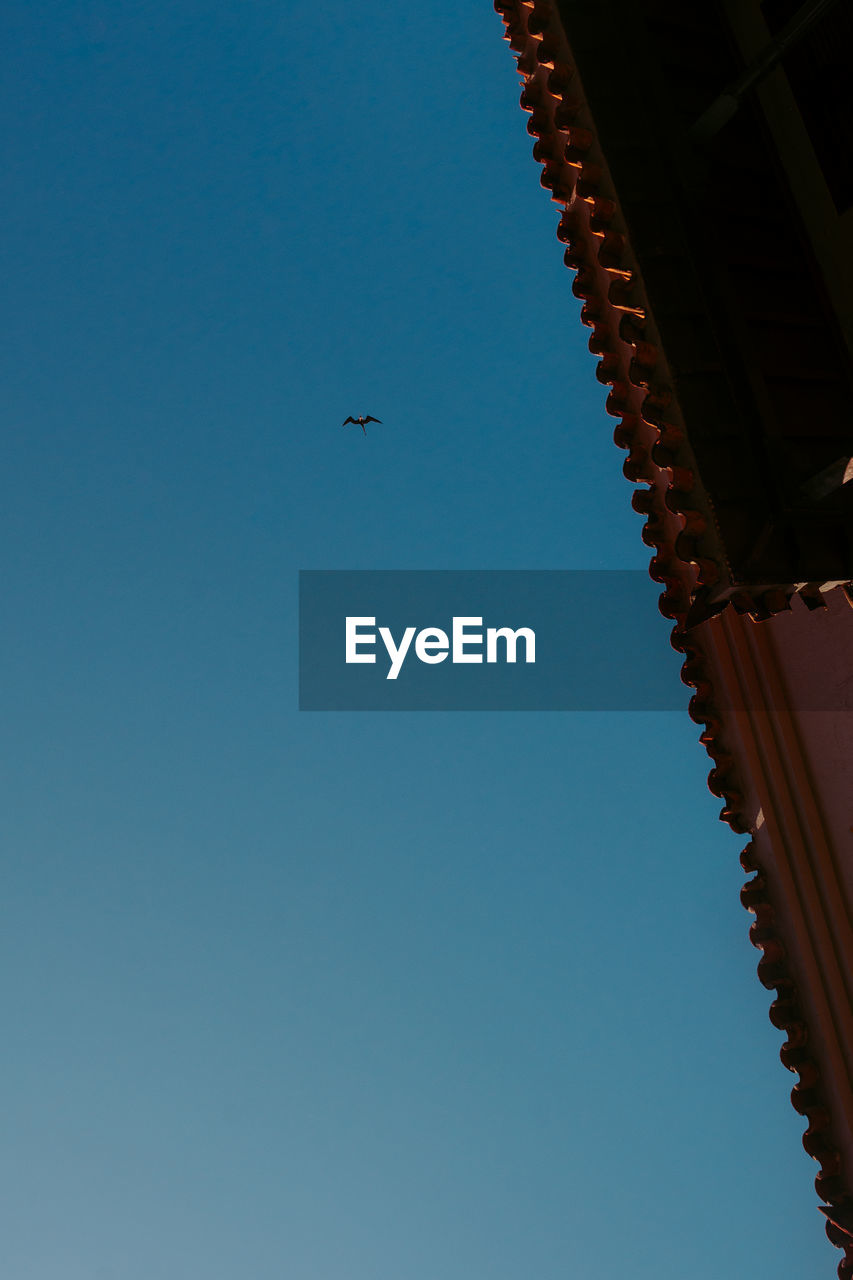 LOW ANGLE VIEW OF BIRDS FLYING IN SKY