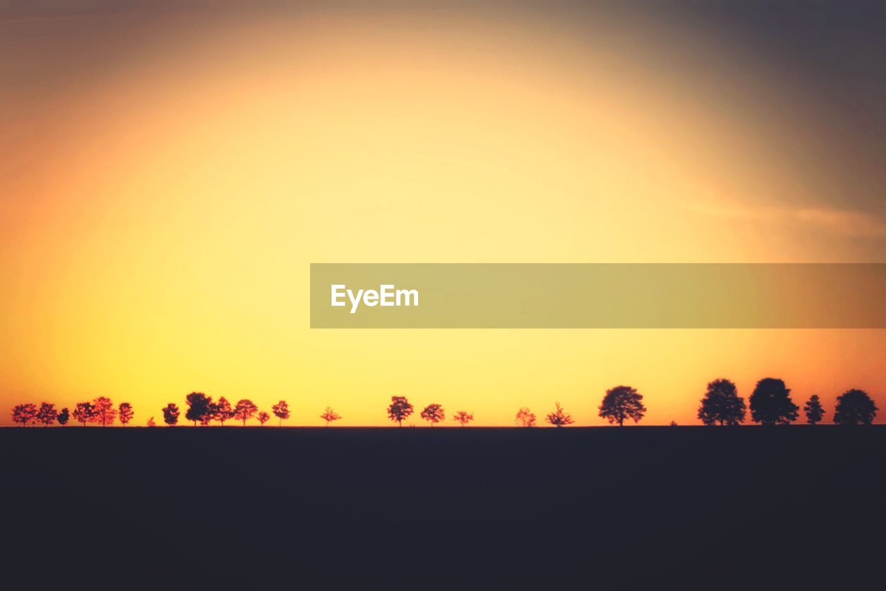 Silhouette trees on landscape against clear sky