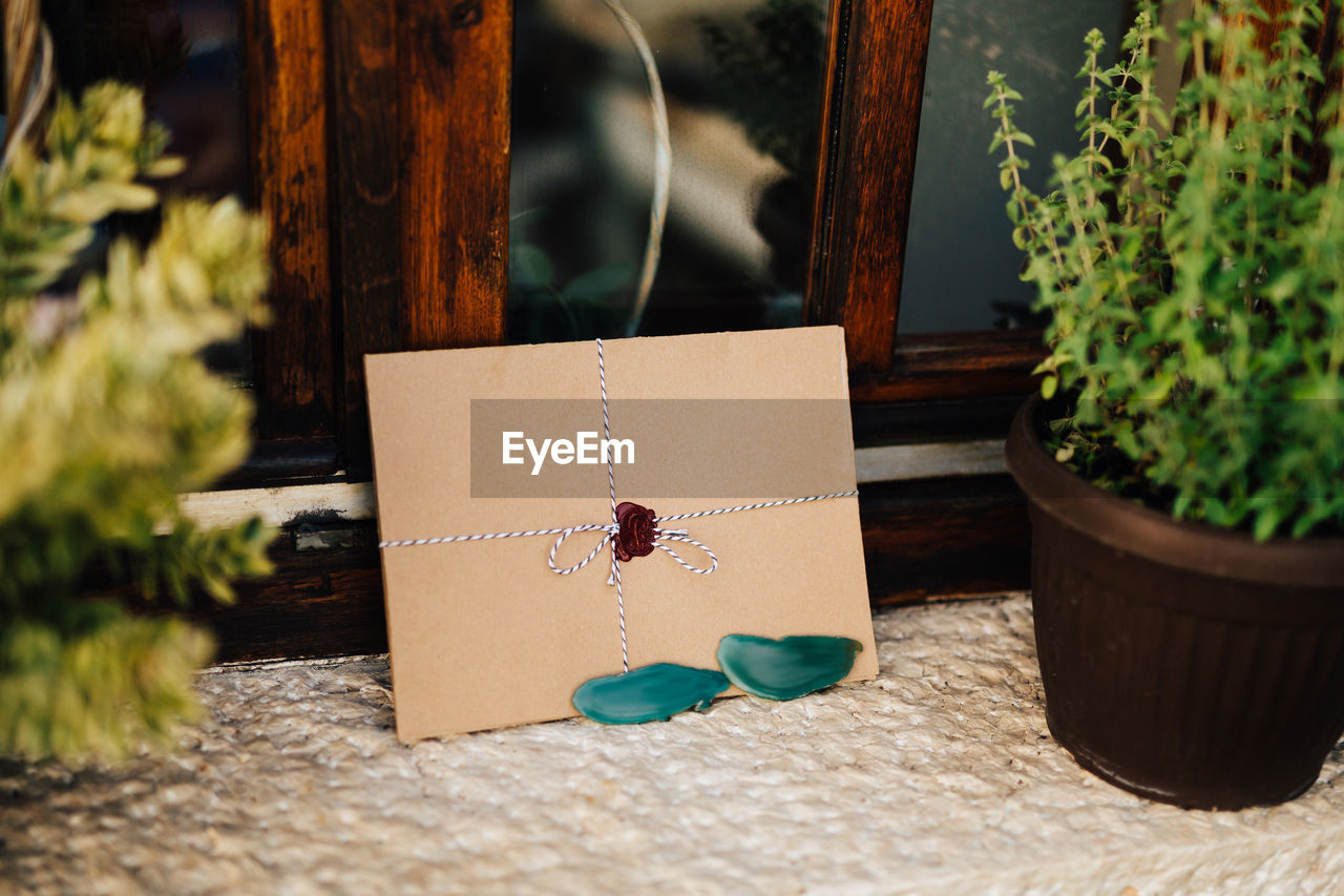 Close-up of envelope by potted plant