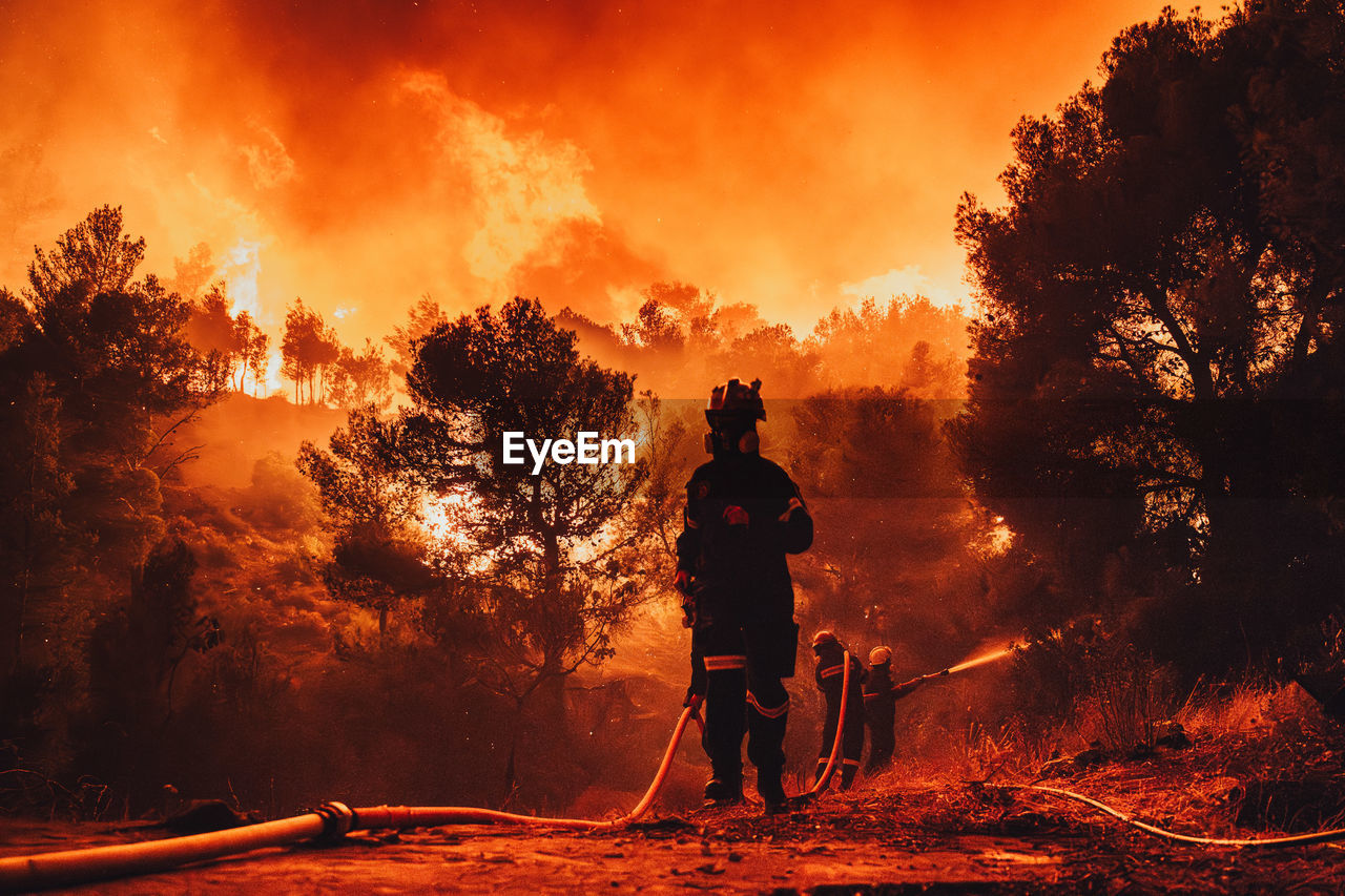 wildfire, firefighter, fire, burning, nature, tree, flame, occupation, full length, one person, heat, accidents and disasters, land, adult, forest, plant, men, person, silhouette, orange color, outdoors, hose, environment, night