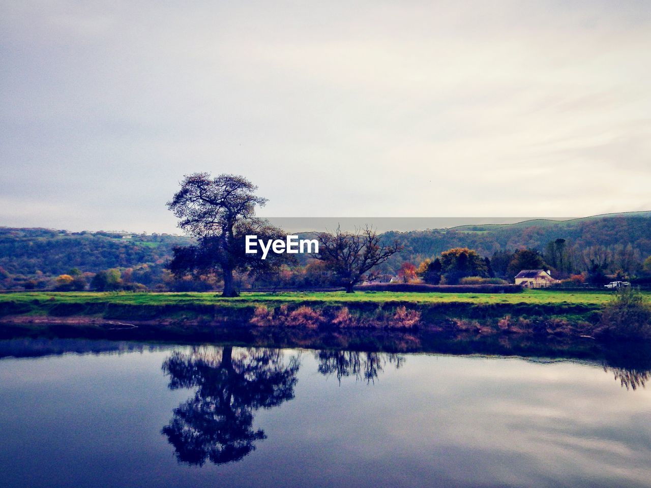 Reflection of trees in water against sky