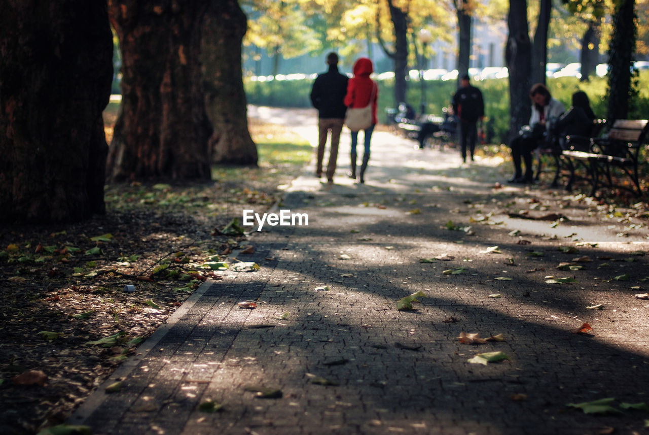 Rear view of couple walking on footpath in park