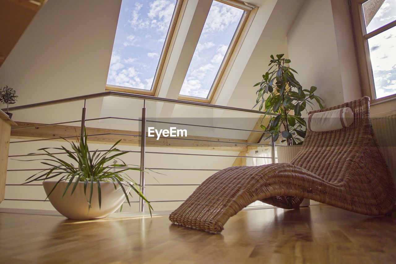 POTTED PLANTS ON TABLE AGAINST WINDOW