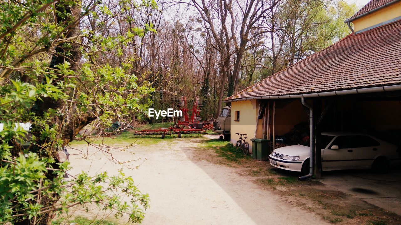 TREES ALONG BUILT STRUCTURE