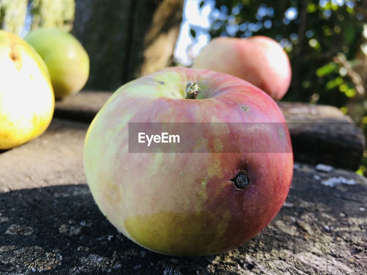 Close-up of apple on table