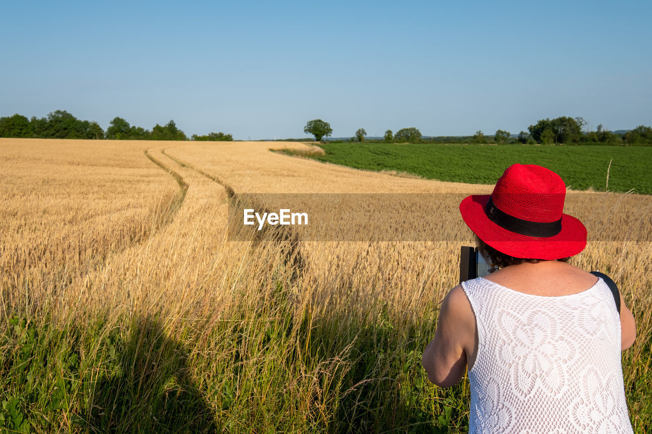 landscape, field, land, rural scene, plant, agriculture, one person, sky, rear view, hat, nature, environment, crop, adult, cereal plant, rural area, summer, growth, waist up, farm, women, grassland, food, clothing, day, beauty in nature, straw hat, grass, sun hat, outdoors, sunlight, tranquility, sunny, scenics - nature, red, blue, clear sky, tranquil scene, prairie, idyllic, person, plain, solitude, copy space, standing, meadow, horizon over land
