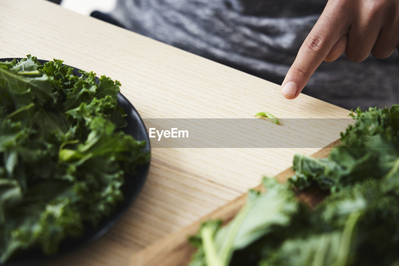 Person pointing at worm among salad leaves