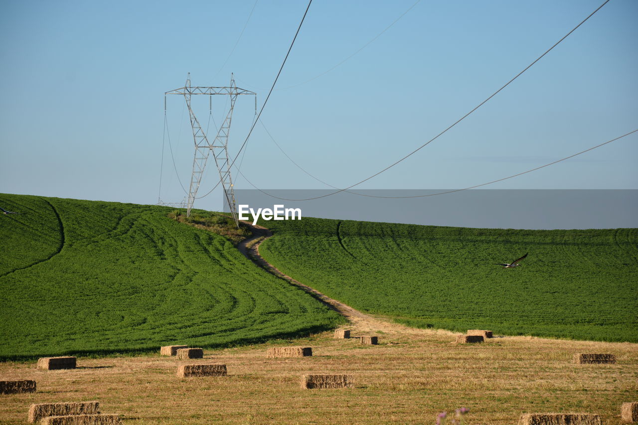 Scenic view of landscape against clear blue sky