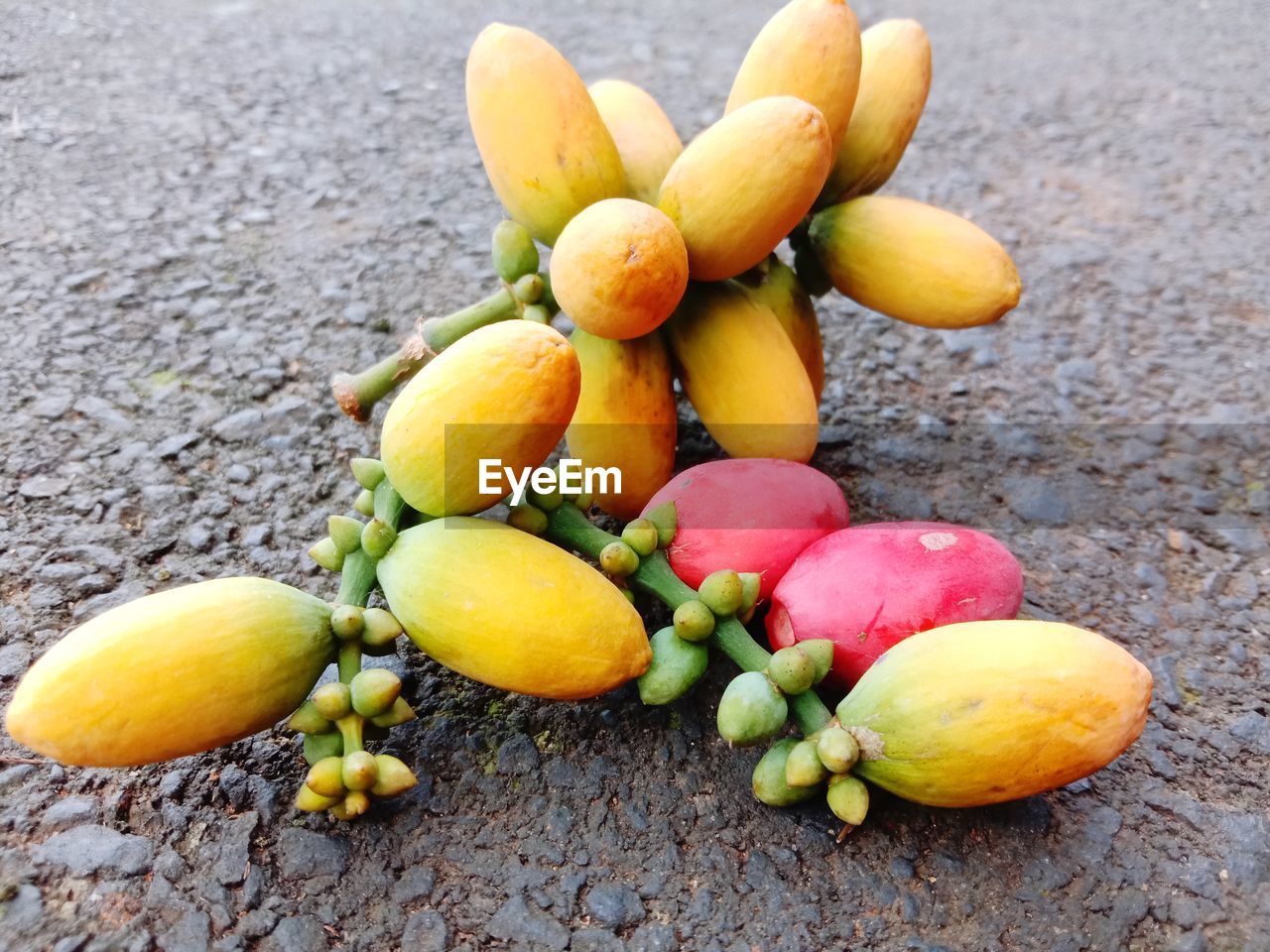 CLOSE-UP OF FRUITS ON TABLE