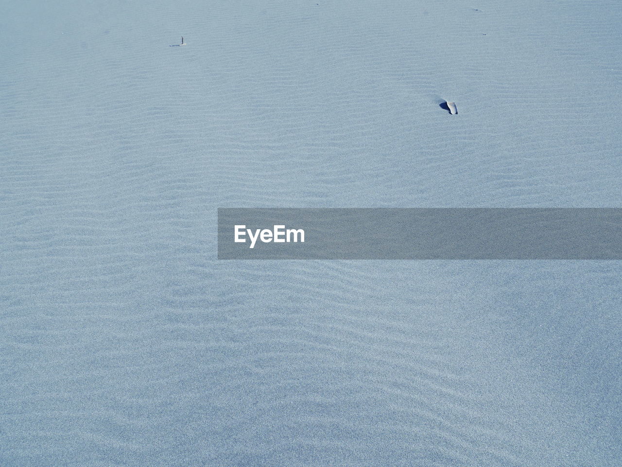HIGH ANGLE VIEW OF BIRDS ON SEA