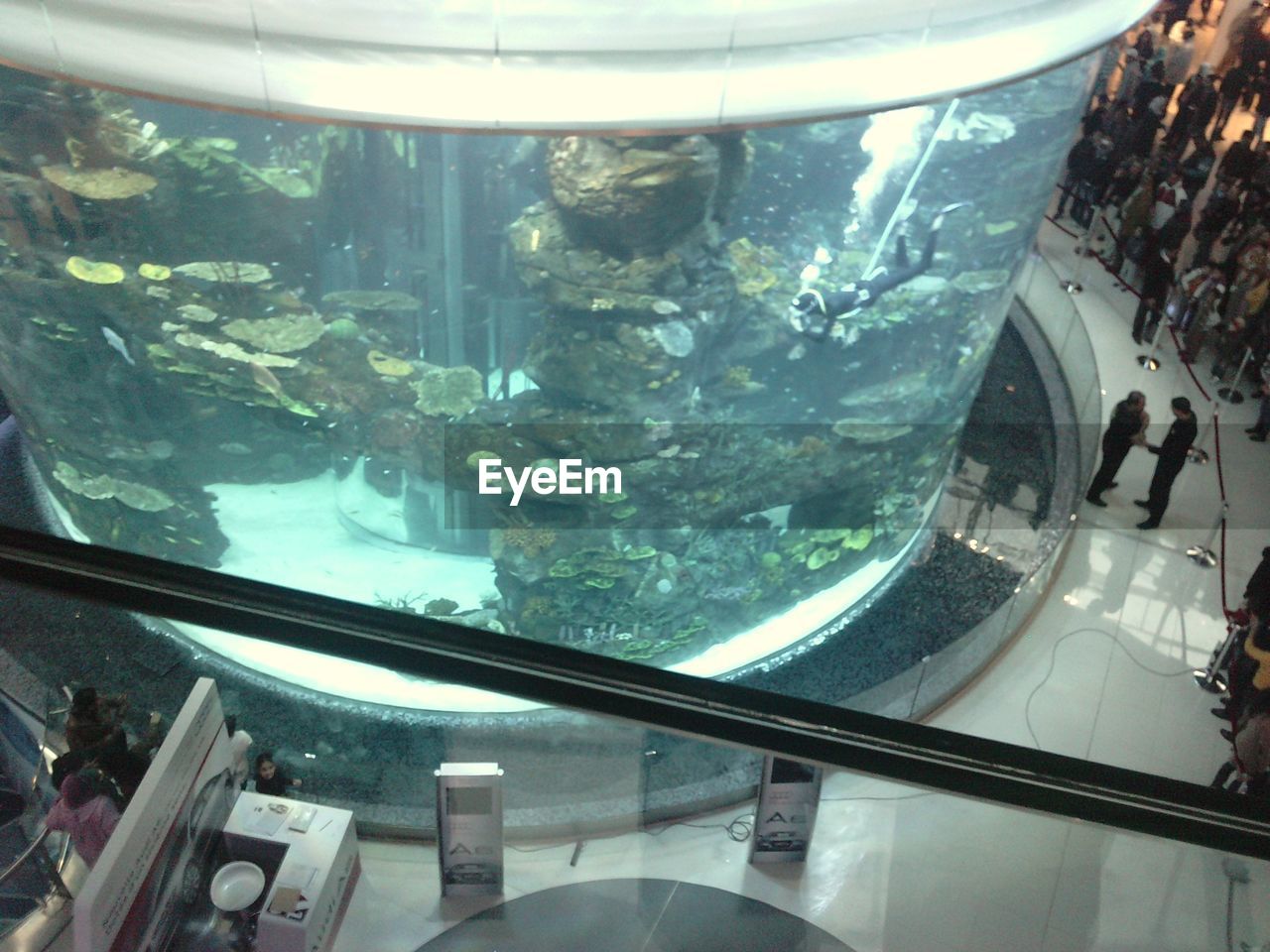 Aquarium Underwater Indoors  Water Aquarium Day UnderSea No People City