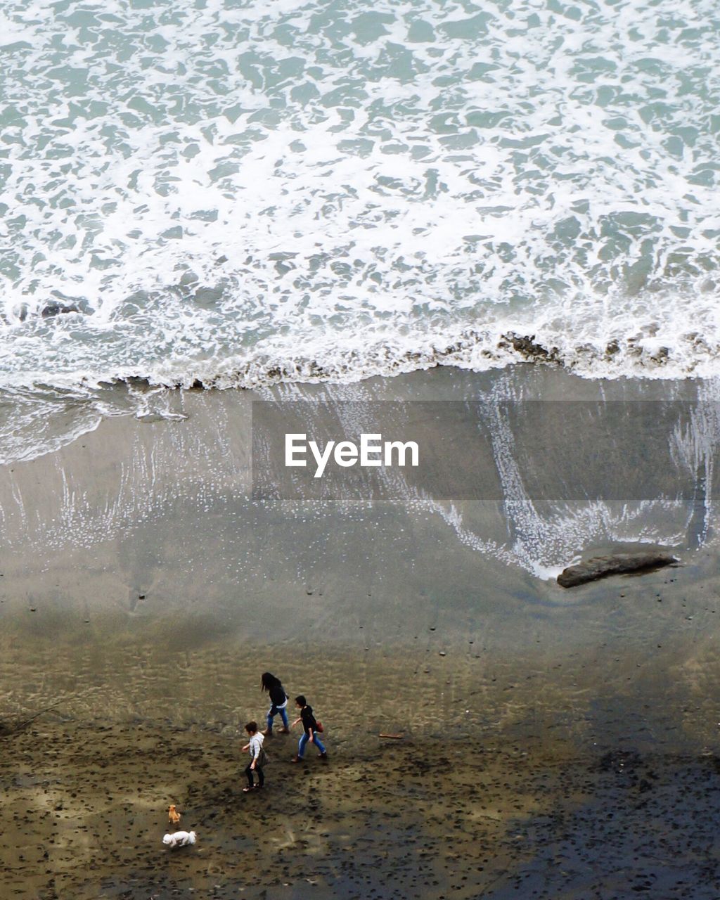 High angle view of friends walking on shore at beach