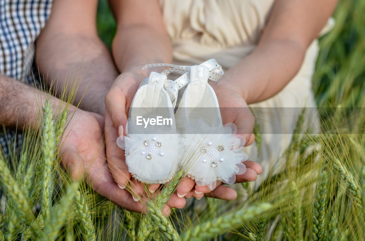 CLOSE-UP OF HAND HOLDING WHITE FLOWER