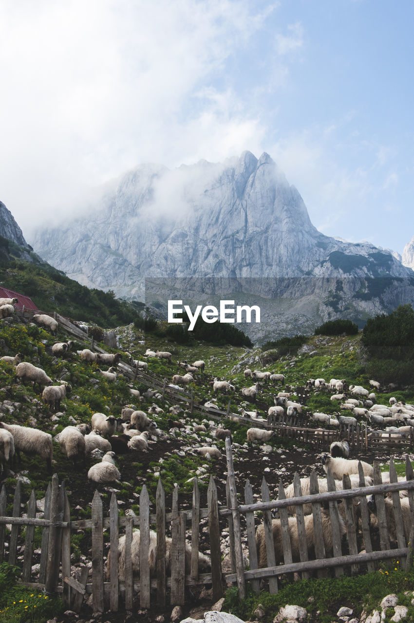 AERIAL VIEW OF MOUNTAINS AGAINST SKY