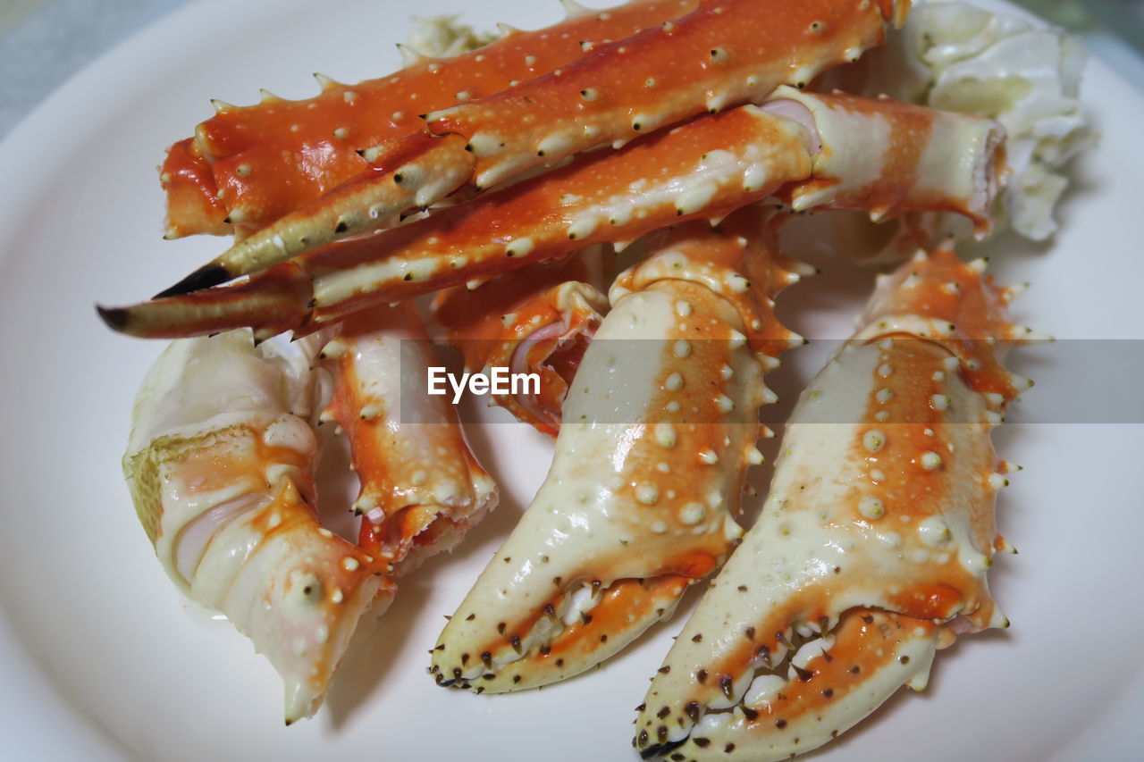 HIGH ANGLE VIEW OF FOOD IN A PLATE