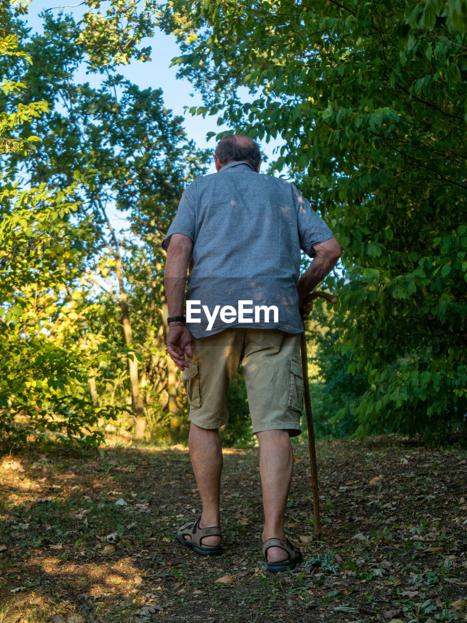 rear view of man walking on field