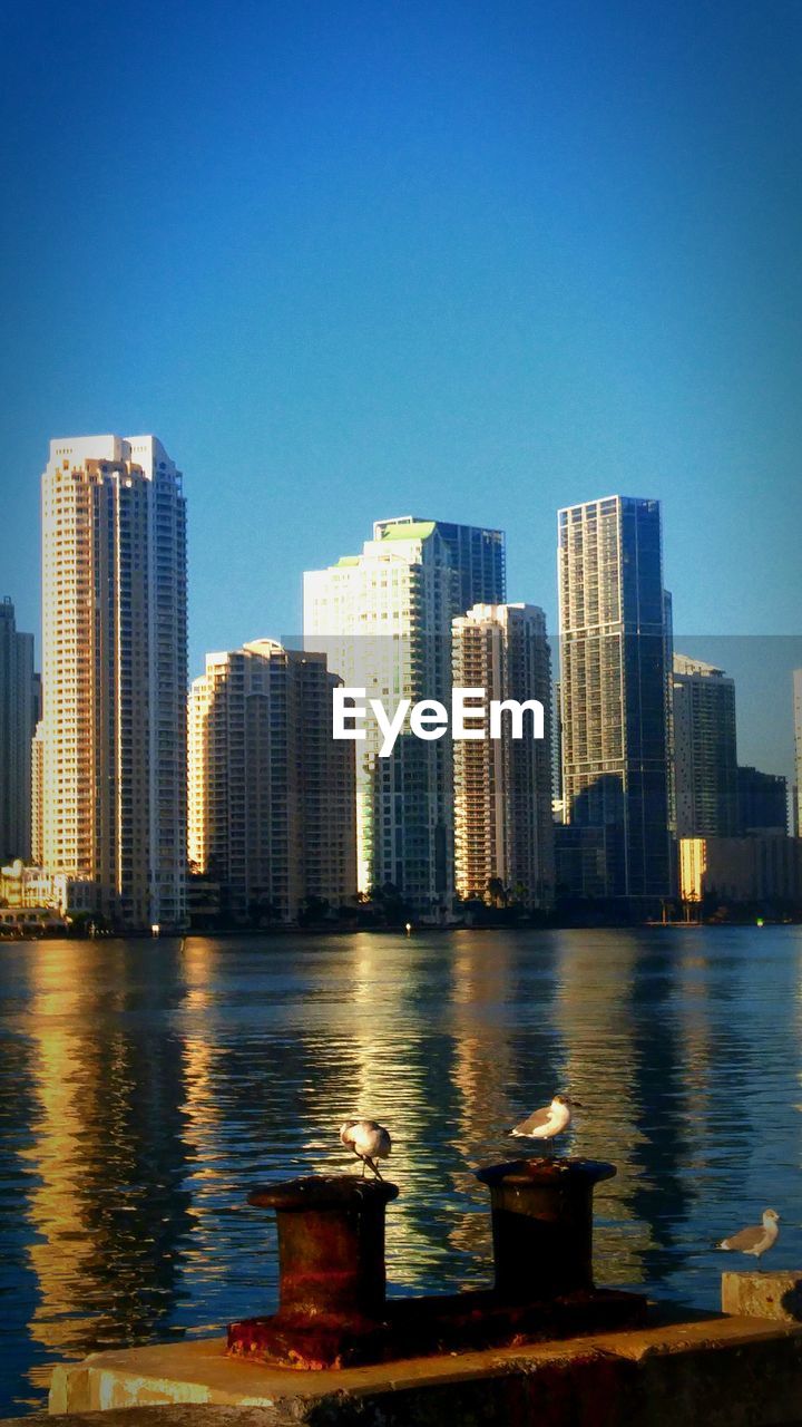 MODERN BUILDINGS BY BAY AGAINST CLEAR BLUE SKY