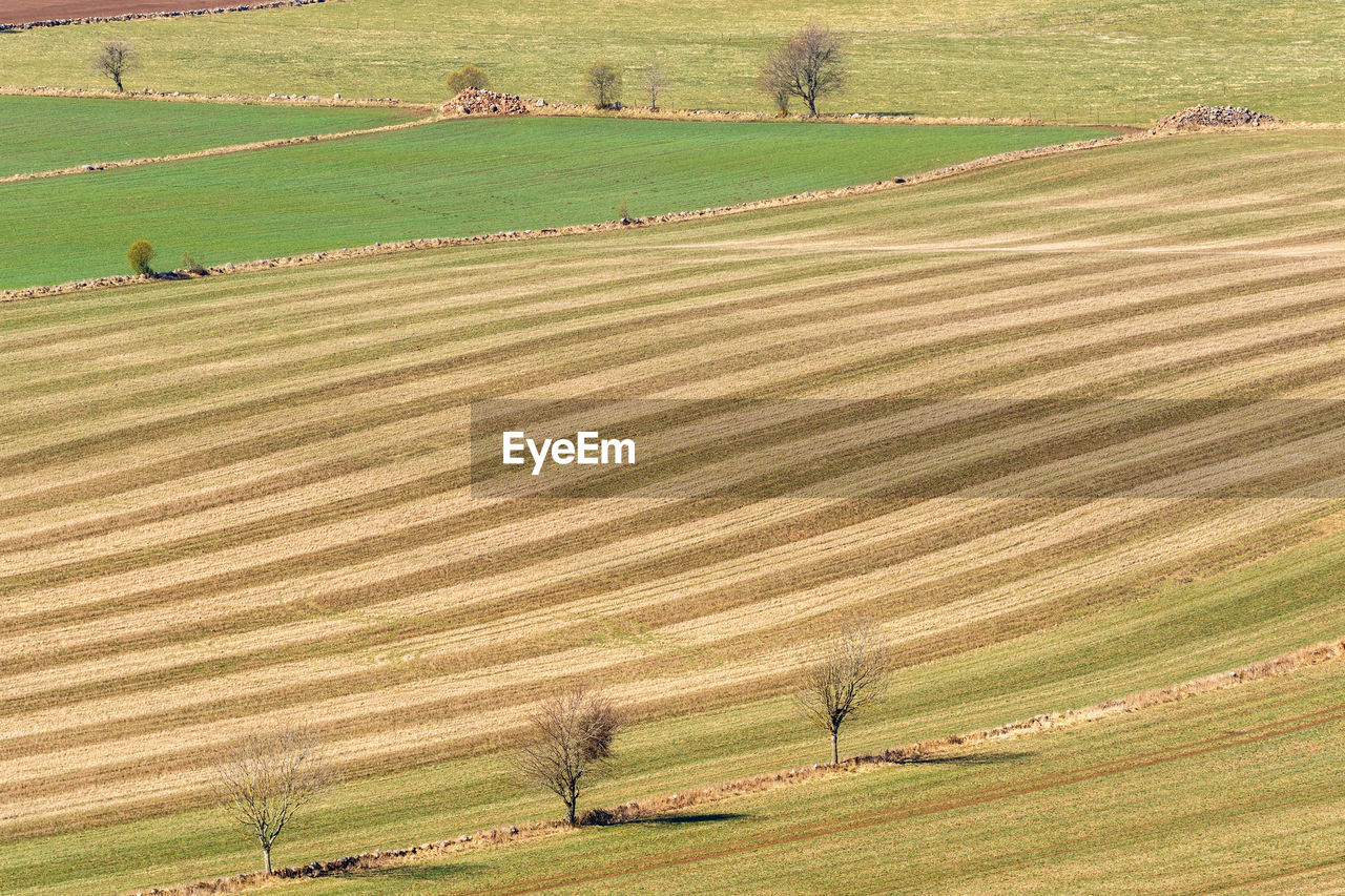 High angle view of agricultural field