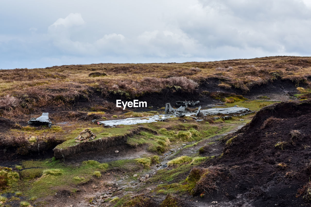 SCENIC VIEW OF LANDSCAPE