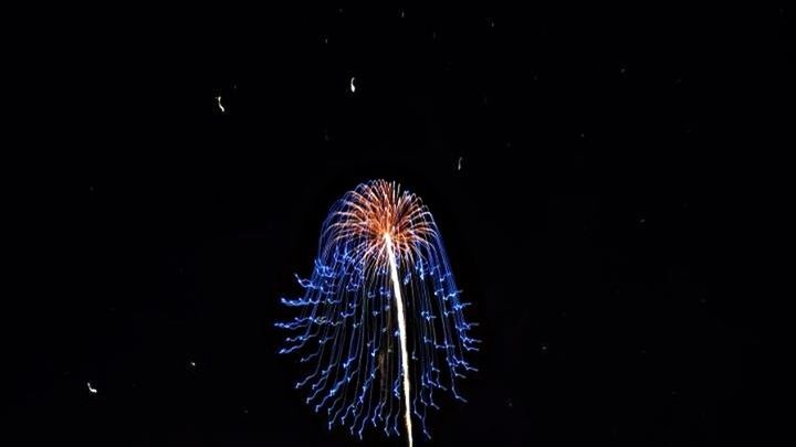 FIREWORKS DISPLAY AT NIGHT