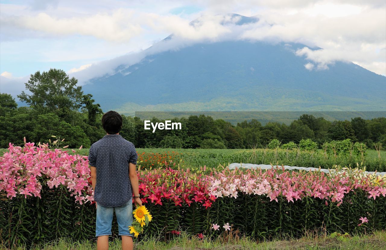 Rear view of boy standing against flowering plants