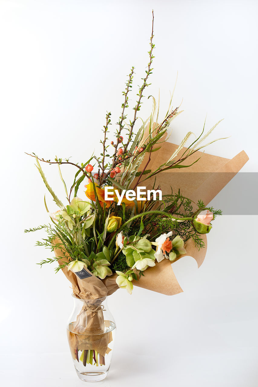 CLOSE-UP OF PLANT IN VASE