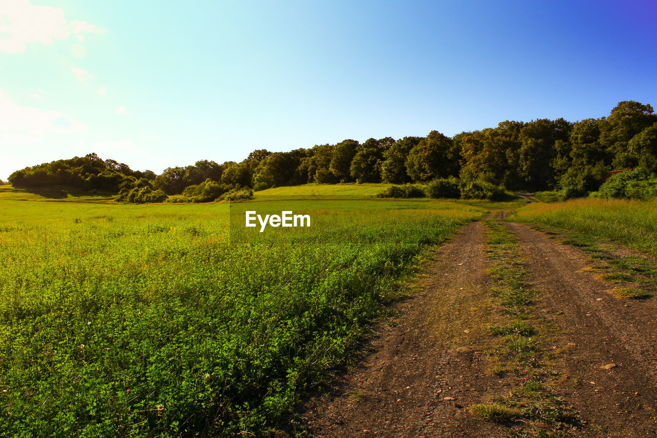 Dirt road passing through field