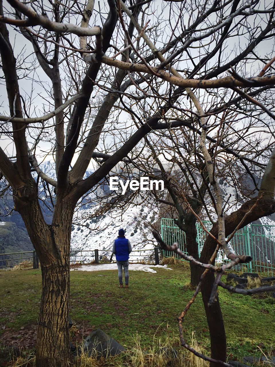 Rear view of man standing with bare trees during winter