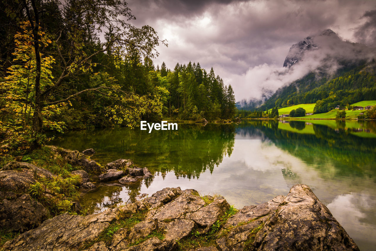 Scenic view of lake by trees against sky