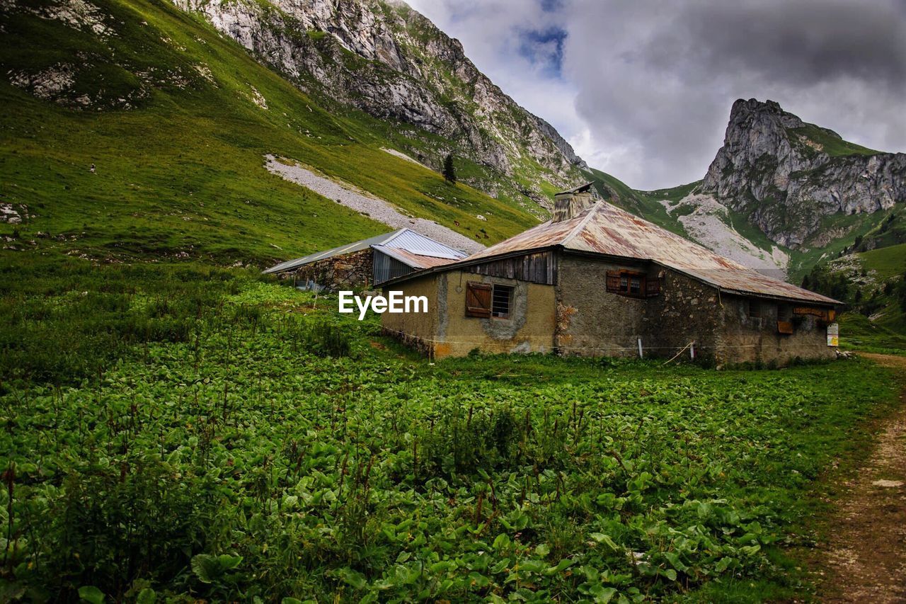 SCENIC VIEW OF LANDSCAPE AND MOUNTAINS AGAINST SKY