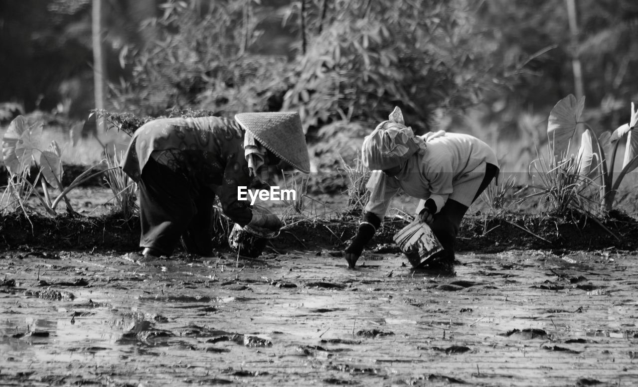 Farmers working in muddy field at farm