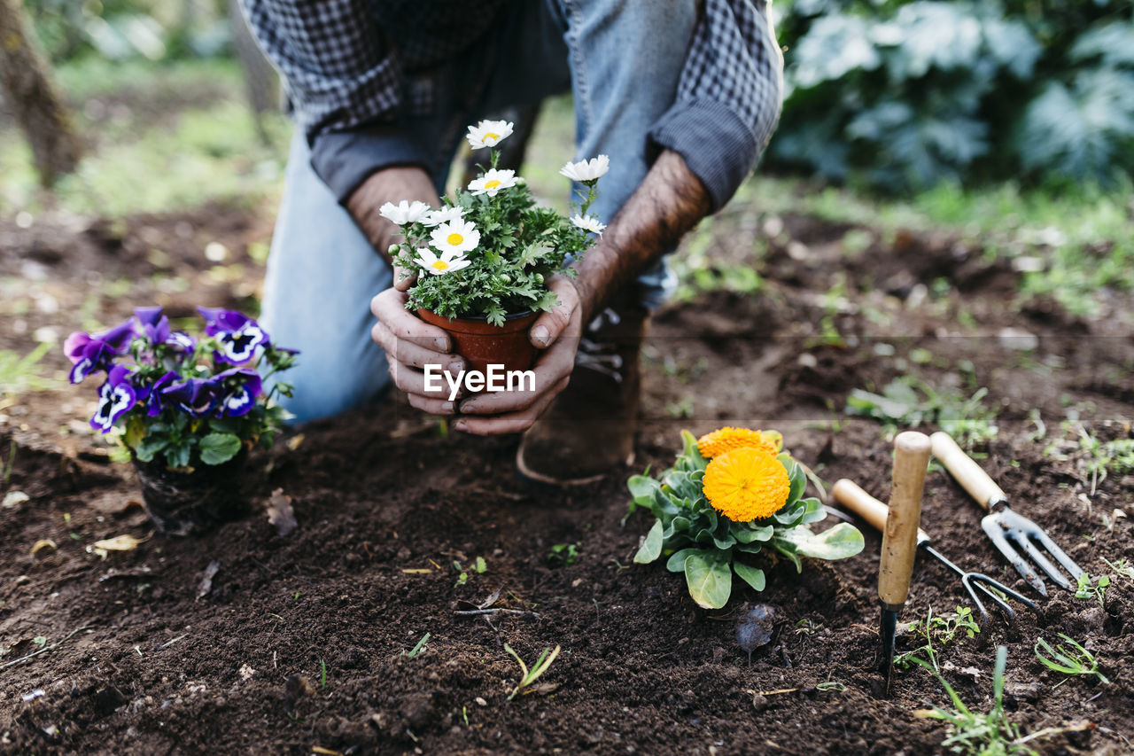 Man planting flowers in his garden