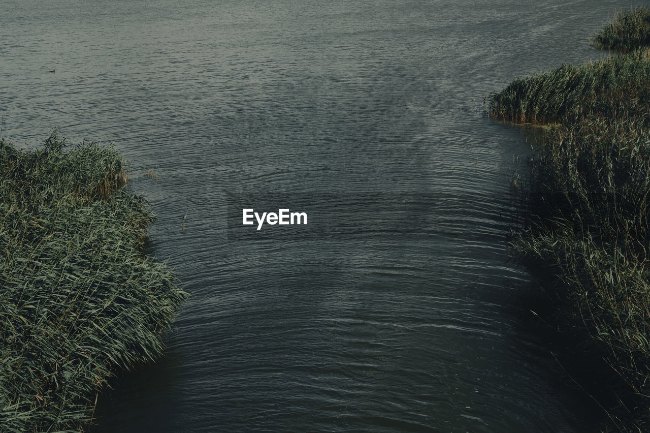 High angle view of windy shore with rippled water and blasted plants 