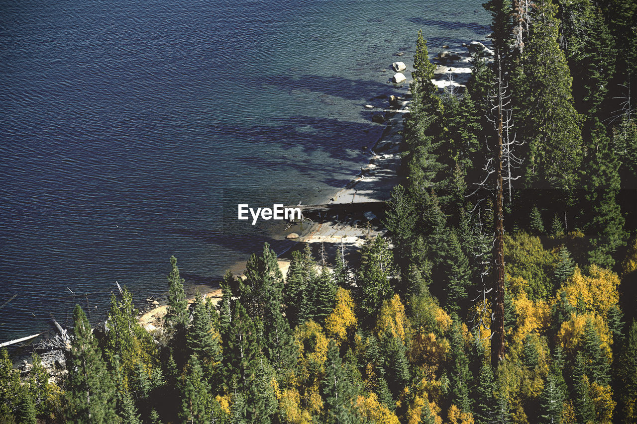 High angle view of plants by sea