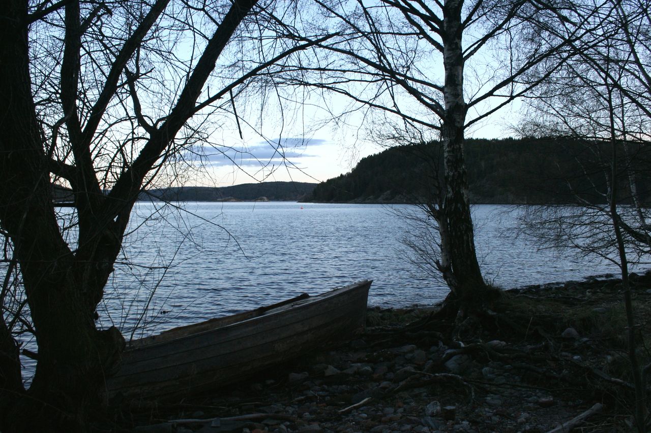 LAKE BY TREES AGAINST SKY