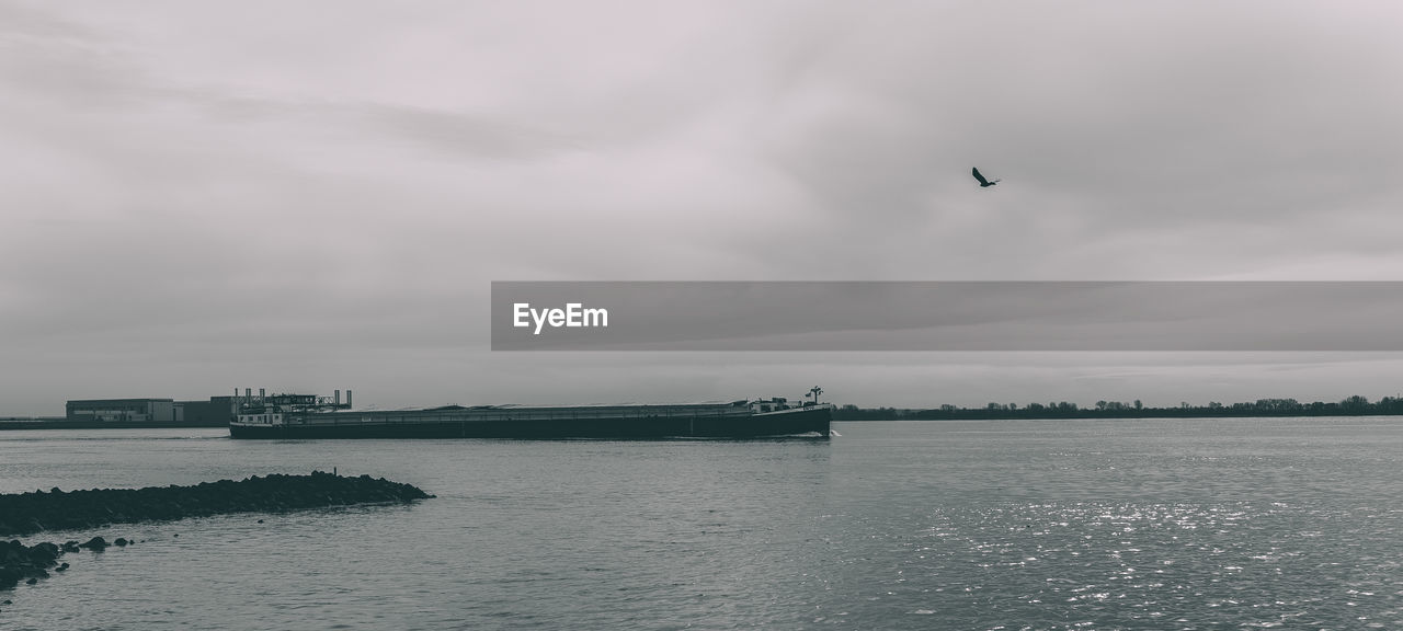 Bird flying over sea against cloudy sky