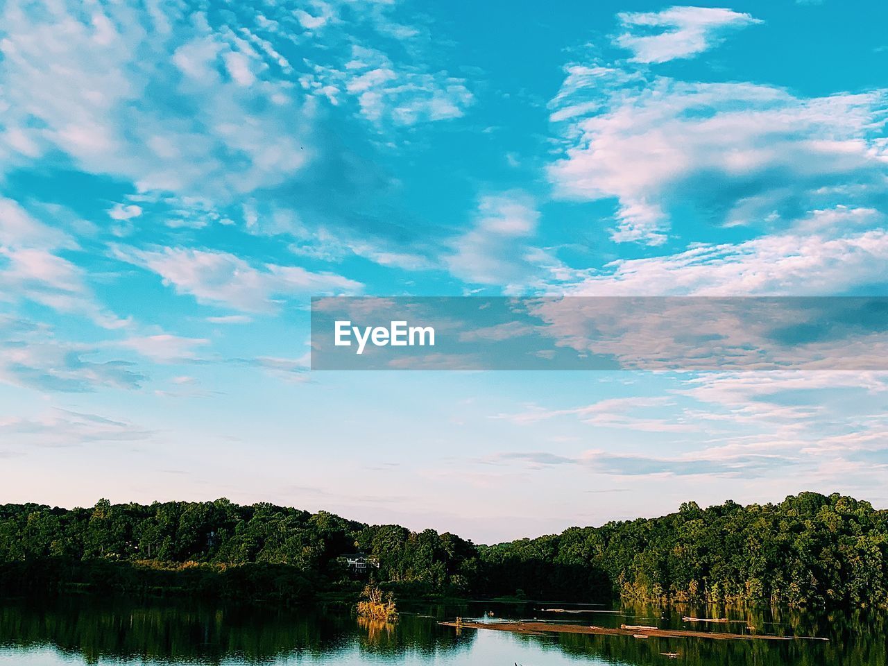 SCENIC VIEW OF LAKE AMIDST TREES AGAINST SKY