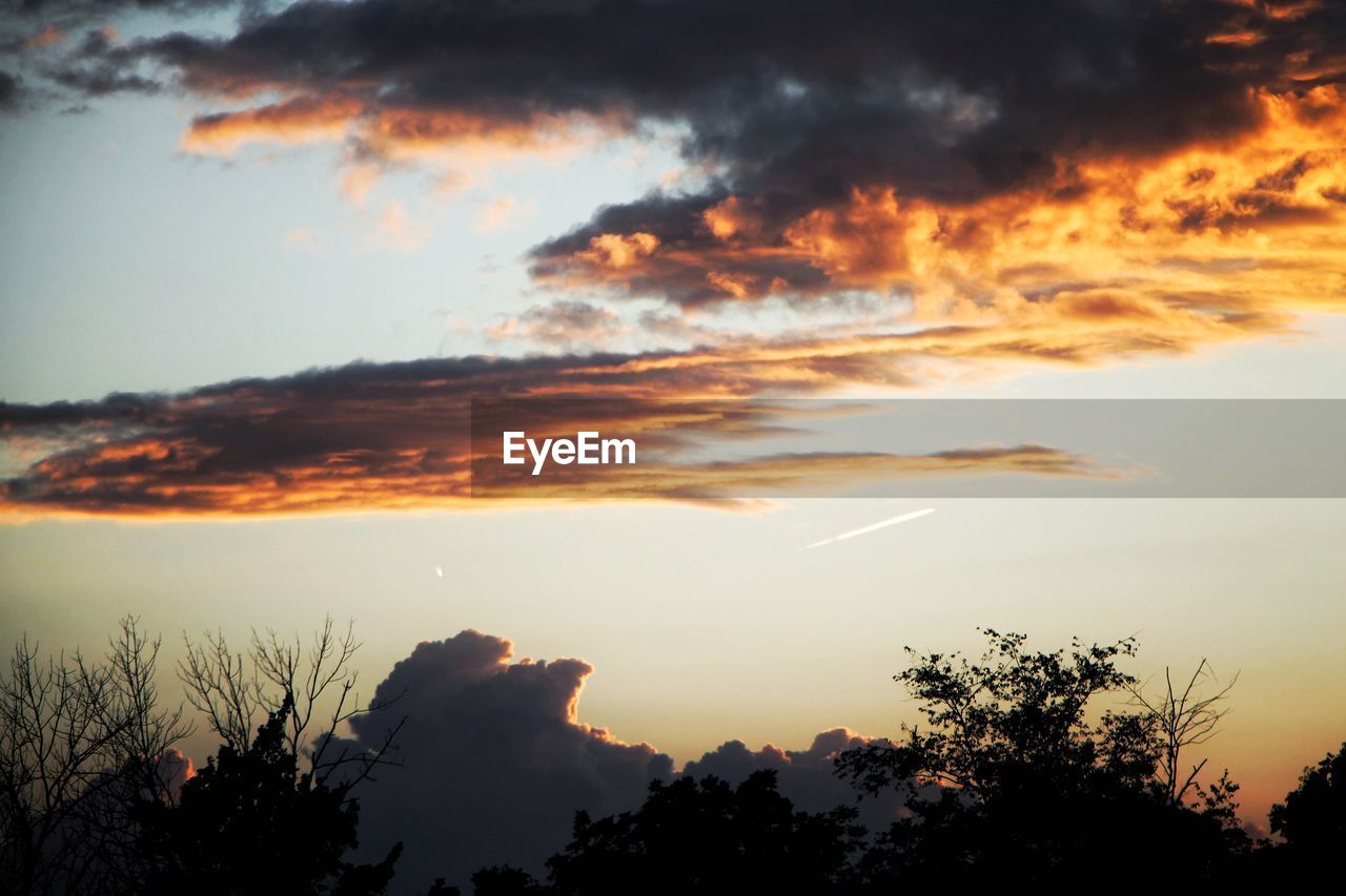 SCENIC VIEW OF SILHOUETTE TREES AGAINST SKY