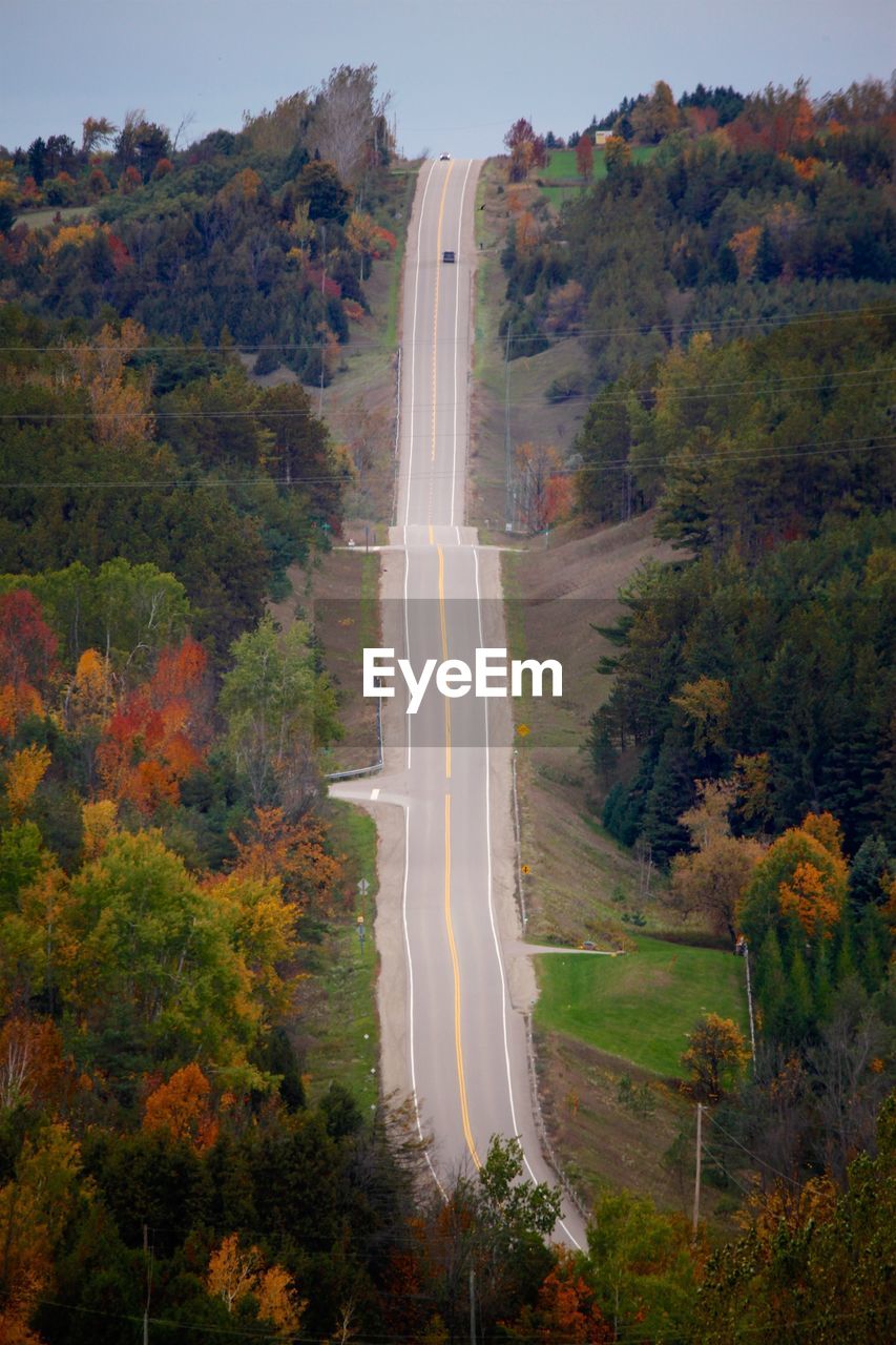 Scenic view of road amidst trees during autumn