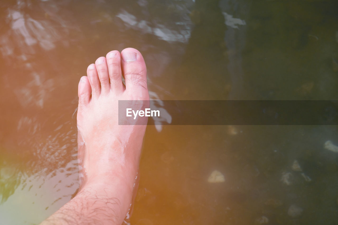 Low section of man in lake