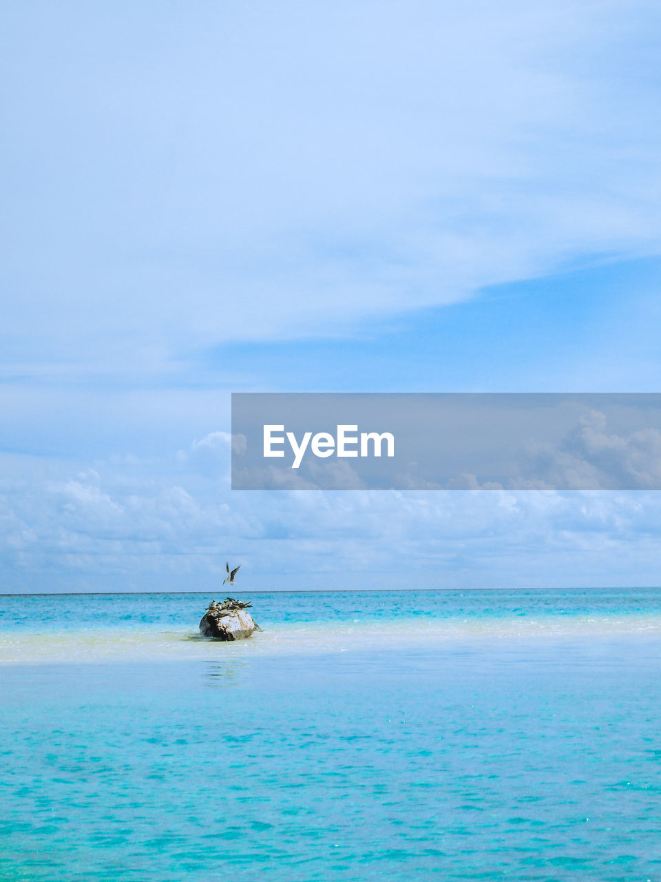 Tubbataha reefs natural park philippines