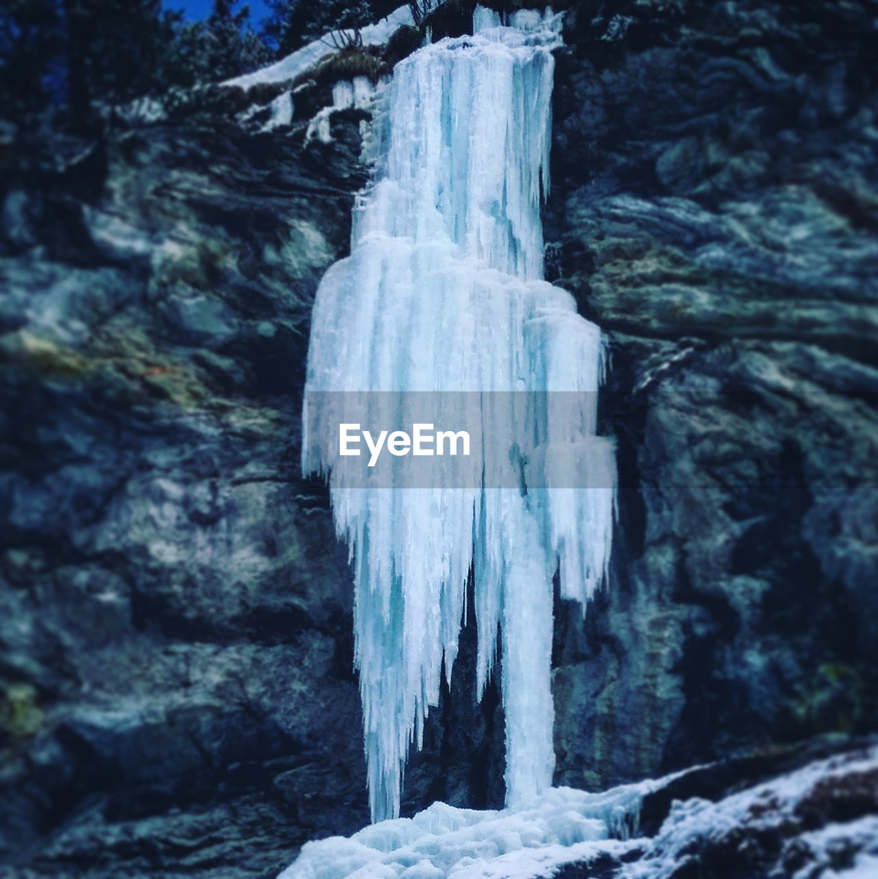 CLOSE-UP OF ICICLES ON ROCK AGAINST TREE